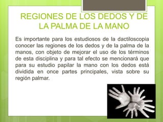 La región digito palmar | PPTX