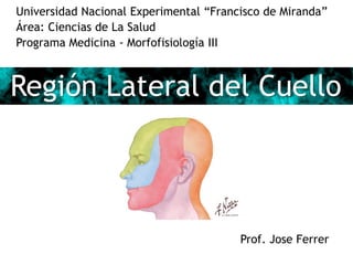 Universidad Nacional Experimental “Francisco de Miranda”
Área: Ciencias de La Salud
Programa Medicina - Morfofisiología III



Región Lateral del Cuello



                                        Prof. Jose Ferrer
 