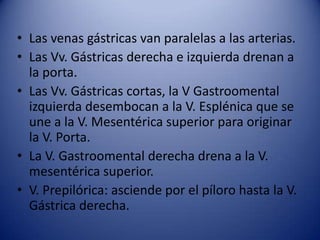 • Las venas gástricas van paralelas a las arterias.
• Las Vv. Gástricas derecha e izquierda drenan a
la porta.
• Las Vv. Gástricas cortas, la V Gastroomental
izquierda desembocan a la V. Esplénica que se
une a la V. Mesentérica superior para originar
la V. Porta.
• La V. Gastroomental derecha drena a la V.
mesentérica superior.
• V. Prepilórica: asciende por el píloro hasta la V.
Gástrica derecha.
 