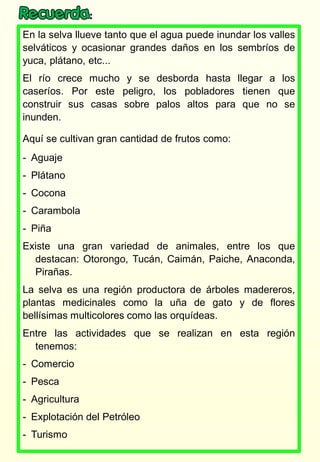 En la selva llueve tanto que el agua puede inundar los valles
selváticos y ocasionar grandes daños en los sembríos de
yuca, plátano, etc...
El río crece mucho y se desborda hasta llegar a los
caseríos. Por este peligro, los pobladores tienen que
construir sus casas sobre palos altos para que no se
inunden.
Aquí se cultivan gran cantidad de frutos como:
- Aguaje
- Plátano
- Cocona
- Carambola
- Piña
Existe una gran variedad de animales, entre los que
destacan: Otorongo, Tucán, Caimán, Paiche, Anaconda,
Pirañas.
La selva es una región productora de árboles madereros,
plantas medicinales como la uña de gato y de flores
bellísimas multicolores como las orquídeas.
Entre las actividades que se realizan en esta región
tenemos:
- Comercio
- Pesca
- Agricultura
- Explotación del Petróleo
- Turismo
 