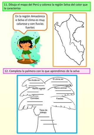 11. Dibuja el mapa del Perú y colorea la región Selva del color que
la caracteriza
12. Completa la palmera con lo que aprendimos de la selva
En la región Amazónica
o Selva el clima es muy
caluroso y con lluvias
fuertes
 