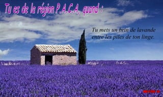 Tu mets un brin de lavande
entre les piles de ton linge.
 