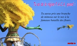 Tu auras pris une branche
de mimosa sur le nez à la
fameuse bataille des fleurs.
 