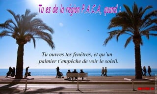 Tu ouvres tes fenêtres, et qu’un
palmier t’empêche de voir le soleil.
 