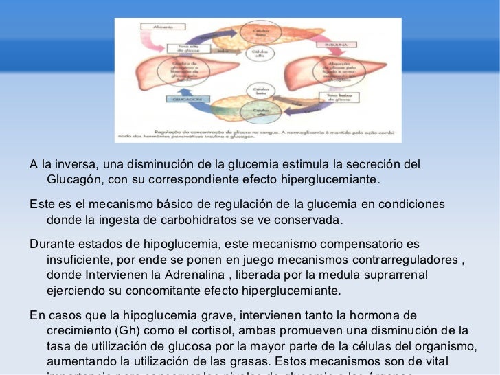 La regulacion hormonal La regulacion hormonal