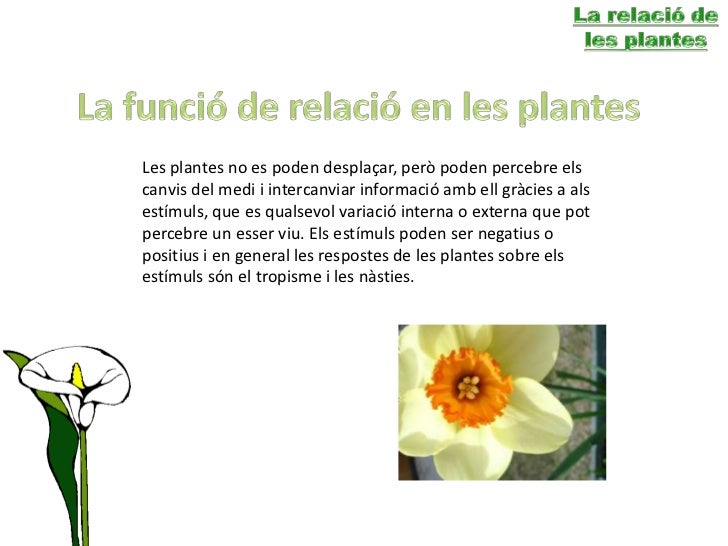 La relació de les plantes