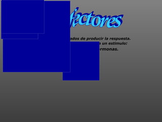 Son los órganos encargados de producir la respuesta.
Existen dos tipos de respuestas frete a un estimulo:
.El sistema endocrino: Produce hormonas.
 