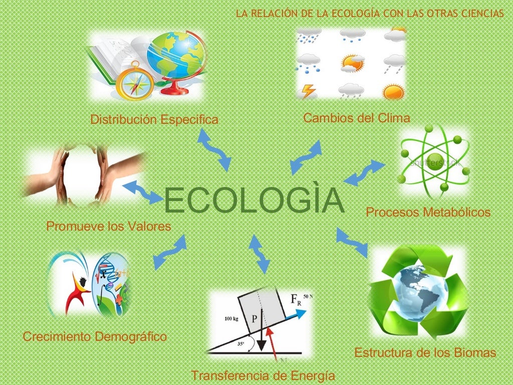 La relación de la ecología con las otras ciencias