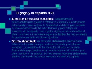 El yoga y la espalda (IV)
Ejercicios de espalda esenciales: cuidadosamente
seleccionados para ayudar a reforzar la espalda y las estructuras
relacionadas, para mejorar la flexibilidad vertebral, para permitir
el libre movimiento de las articulaciones y para relajar los
músculos de la espalda. Una espalda rígida es más vulnerable al
dolor, al estrés y a las lesiones que una flexible. Por eso se alienta
la práctica constante de dichos ejercicios.
Sostén abdominal: los músculos abdominales proporcionan
refuerzo a los músculos que sostienen la pelvis y la columna
vertebral. La condición de los músculos situados en la parte
frontal del cuerpo pudiera estar relacionada con el malestar y el
dolor sentido en la espalda. De hecho unos músculos abdominales
débiles son una de las causas comunes de dolor de espalda.
 