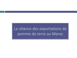 La relance des exportations de
pomme de terre au Maroc
 