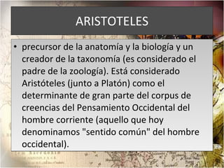 ARISTOTELES precursor de la anatomía y la biología y un creador de la taxonomía (es considerado el padre de la zoología). Está considerado Aristóteles (junto a Platón) como el determinante de gran parte del corpus de creencias del Pensamiento Occidental del hombre corriente (aquello que hoy denominamos "sentido común" del hombre occidental). 