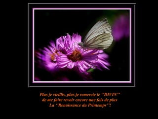 Plus je vieillis, plus je remercie le ‘’DIVIN’’  de me faire revoir encore une fois de plus  La ‘’Renaissance du Printemps’’! 
