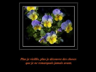 Plus je vieillis, plus je découvre des choses  que je ne remarquais jamais avant. 