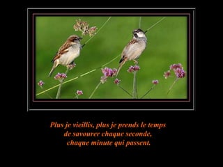 Plus je vieillis, plus je prends le temps  de savourer chaque seconde,  chaque minute qui passent. 