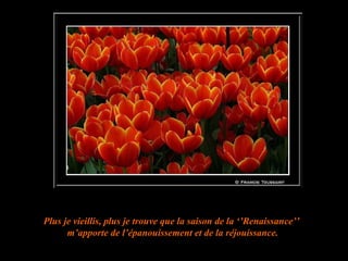 Plus je vieillis, plus je trouve que la saison de la ‘’Renaissance’’  m’apporte de l’épanouissement et de la réjouissance. 