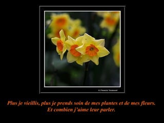 Plus je vieillis, plus je prends soin de mes plantes et de mes fleurs. Et combien j’aime leur parler. 