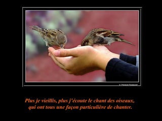 Plus je vieillis, plus j’écoute le chant des oiseaux,  qui ont tous une façon particulière de chanter. 