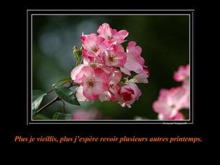 Plus je vieillis, plus j’espère revoir plusieurs autres printemps. 