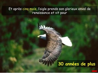 30 années de plus Et après  cinq mois , l’aigle prends son glorieux envol de renaissance et vit pour 