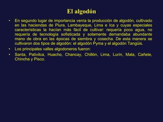 El algodón En segundo lugar de importancia venía la producción de algodón, cultivado en las haciendas de Piura, Lambayeque, Lima e Ica y cuyas especiales características la hacían más fácil de cultivar: requería poco agua, no requería de tecnología sofisticada y solamente demandaba abundante mano de obra en las épocas de siembra y cosecha. De esta manera se cultivaron dos tipos de algodón: el algodón Pyma y el algodón Tangüis.  Los principales valles algodoneros fueron: Santa, Pativilca, Huacho, Chancay, Chillón, Lima, Lurín, Mala, Cañete, Chincha y Pisco. 