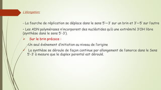 L'élongation:
– La fourche de réplication se déplace dans le sens 5’—3’ sur un brin et 3’—5’ sur l’autre
– Les ADN polymérases n’incorporent des nucléotides qu’à une extrémité 3’OH libre
(synthèse dans le sens 5’-3’).
 Sur le brin précoce :
-Un seul événement d’initiation au niveau de l’origine
 La synthèse se déroule de façon continue par allongement de l’amorce dans le Sens
5’-3’ à mesure que le duplex parental est déroulé.
 