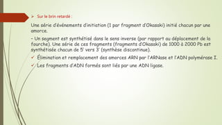  Sur le brin retardé :
Une série d’événements d’initiation (1 par fragment d’Okasaki) initié chacun par une
amorce.
– Un segment est synthétisé dans le sens inverse (par rapport au déplacement de la
fourche). Une série de ces fragments (fragments d’Okasaki) de 1000 à 2000 Pb est
synthétisée chacun de 5’ vers 3’ (synthèse discontinue).
 Élimination et remplacement des amorces ARN par l’ARNase et l’ADN polymérase I.
 Les fragments d’ADN formés sont liés par une ADN ligase.
 