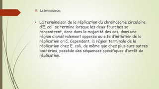III. La terminaison:
• La terminaison de la réplication du chromosome circulaire
d’E. coli se termine lorsque les deux fourches se
rencontrent, donc dans la majorité des cas, dans une
région diamétralement opposée au site d’initiation de la
réplication oriC. Cependant, la région terminale de la
réplication chez E. coli, de même que chez plusieurs autres
bactéries, possède des séquences spécifiques d’arrêt de
réplication.
 