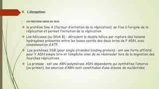 II. L'élongation:
• LES PROTEINE MISES EN JEUX:
 la protéine Dna A (facteur d’initiation de la réplication): se fixe à l’origine de la
réplication et permet l’initiation de la réplication
 Les hélicases (ou DNA B) : déroulent la double hélice par rupture des liaisons
hydrogènes présentes entre les bases azotés des deux brins de P ADN, avec
consommation d’ATP.
 Les protéines SSB (pour single stranded binding protein) : ont une forte affinité
pour Y ADN simple brin et l’empêche ainsi de se réenrouler lors de la migration des
fourches réplicatives.
 La primase : est une ARN polymérase ADN dépendante qui synthétise l’amorce
(ou primer), les amorces d’ARN sont constituées d’une dizaine de nucléotides.
 
