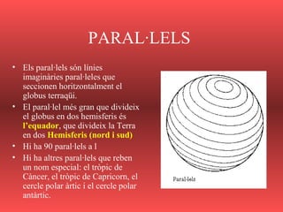 PARAL·LELS
• Els paral·lels són línies
imaginàries paral·leles que
seccionen horitzontalment el
globus terraqüi.
• El paral·lel més gran que divideix
el globus en dos hemisferis és
l’equador, que divideix la Terra
en dos Hemisferis (nord i sud)
• Hi ha 90 paral·lels a l
• Hi ha altres paral·lels que reben
un nom especial: el tròpic de
Càncer, el tròpic de Capricorn, el
cercle polar àrtic i el cercle polar
antàrtic.
 