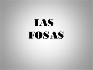 LAS
FOSAS
 