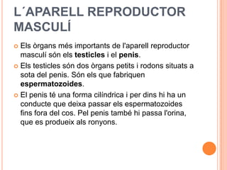 aparell reproductor