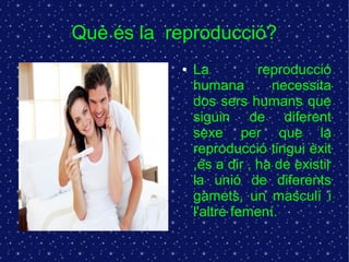 Què és la reproducció? 
● La reproducció 
humana necessita 
dos sers humans que 
siguin de diferent 
sexe per que la 
reproducció tingui èxit 
,és a dir , ha de existir 
la unió de diferents 
gamets, un masculí i 
l'altre femení. 
 