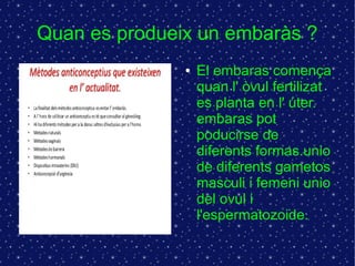 Quan es produeix un embaràs ? 
● El embaras comença 
quan l' òvul fertilizat 
es planta en l' úter. 
embaras pot 
poducirse de 
diferents formas.unio 
de diferents gametos 
masculi i femeni unio 
del ovul i 
l'espermatozoide. 
 