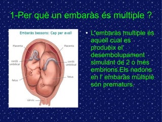 1-Per què un embaràs és multiple ? 
● L'embaràs multiple és 
aquell cual es 
produeix el 
desembolupament 
simulant de 2 o més 
embrions.Els nadons 
en l' embaràs múltiple 
són prematurs. 
 
