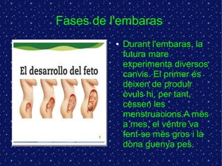 Fases de l'embaras 
● Durant l'embaras, la 
futura mare 
experimenta diversos 
canvis. El primer és 
deixen de produir 
òvuls hi, per tant, 
cessen les 
menstruacions.A més 
a mes, el ventre va 
fent-se més gros i la 
dona guenya pes. 
 