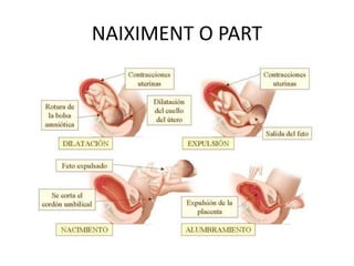 NAIXIMENT O PART
 