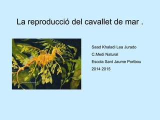 La reproducció del cavallet de mar .
Saad Khaladi Lea Jurado
C.Medi Natural
Escola Sant Jaume Portbou
2014 2015
 