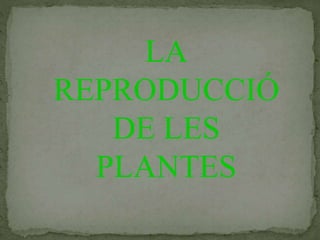 LA
REPRODUCCIÓ
DE LES
PLANTES
 