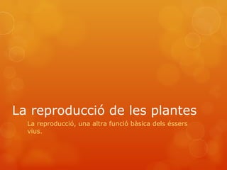 La reproducció de les plantes La reproducció, una altra funció bàsica dels éssers vius. 