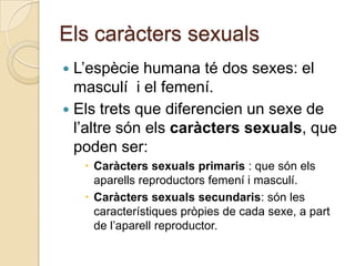 Els caràcters sexuals<br />L’espècie humana té dos sexes: el masculí  i el femení.<br />Els trets que diferencien un sexe ...