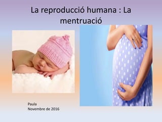 La reproducció humana : La
mentruació
Paula
Novembre de 2016
 