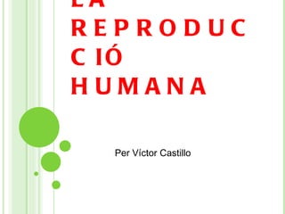 LA REPRODUCCIÓ HUMANA . Per Víctor Castillo 