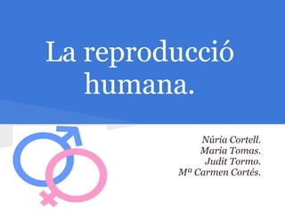 La reproducció
   humana.
             Núria Cortell.
             Maria Tomas.
              Judit Tormo.
         Mª Carmen Cortés.
 