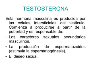 TESTOSTERONA
Esta hormona masculina es producida por
  las células intersticiales del testículo.
  Comienza a producirse a partir de la
  pubertad y es responsable de:
- Los caracteres sexuales secundarios
  masculinos.
- La producción de espermatozoides
  (estimula la espermatogénesis).
- El deseo sexual.
 