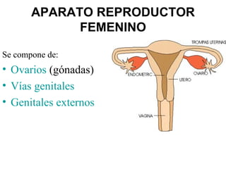 APARATO REPRODUCTOR
             FEMENINO

Se compone de:
• Ovarios (gónadas)
• Vías genitales
• Genitales externos
 