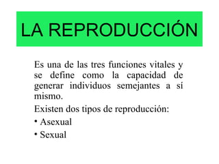 LA REPRODUCCIÓN
 Es una de las tres funciones vitales y
 se define como la capacidad de
 generar individuos semejantes a sí
 mismo.
 Existen dos tipos de reproducción:
 • Asexual
 • Sexual
 