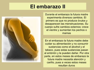 El embarazo II Durante el embarazo la futura madre experimenta diversos cambios. El primero es que no produce óvulos y desaparecen las menstruaciones. Su cuerpo sufre cambios externos: crece el vientre y aumentan los pechos o mamas En el embarazo la futura madre debe cuidar su alimentación y no consumir sustancias como el alcohol y el tabaco, pues estas sustancias pasan al embrión y le pueden dañar. Por otra parte, en estos meses de embarazo la futura madre necesita atención y cariño, pues a veces estos meses resultan duros 