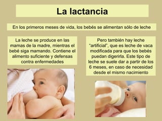 La lactancia En los primeros meses de vida, los bebés se alimentan sólo de leche La leche se produce en las mamas de la madre, mientras el bebé siga mamando. Contiene el alimento suficiente y defensas contra enfermedades Pero también hay leche “artificial”, que es leche de vaca modificada para que los bebés puedan digerirla. Este tipo de leche se suele dar a partir de los 6 meses, en caso de necesidad desde el mismo nacimiento 