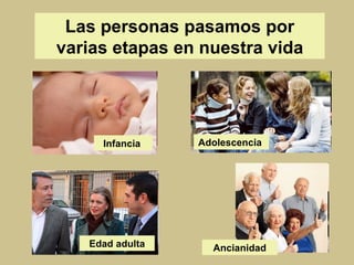 Las personas pasamos por varias etapas en nuestra vida Infancia  Adolescencia  Edad adulta Ancianidad 