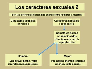 Los caracteres sexuales 2 Son las diferencias físicas que existen entre hombres y mujeres Caracteres sexuales primarios Caracteres sexuales secundarios Caracteres físicos no relacionados directamente con la reproducción Hombre:  voz grave, barba, vello abundante, musculatura  Mujer:  voz aguda, mamas, caderas anchas, vello escaso 
